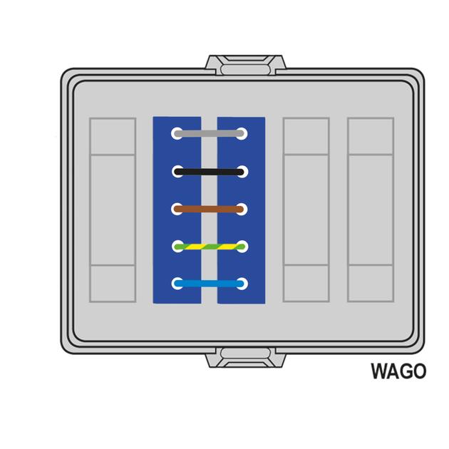 Pluggable AK2 front part, WAGO WINSTA® MIDI, out: 2x5pin DALI blue